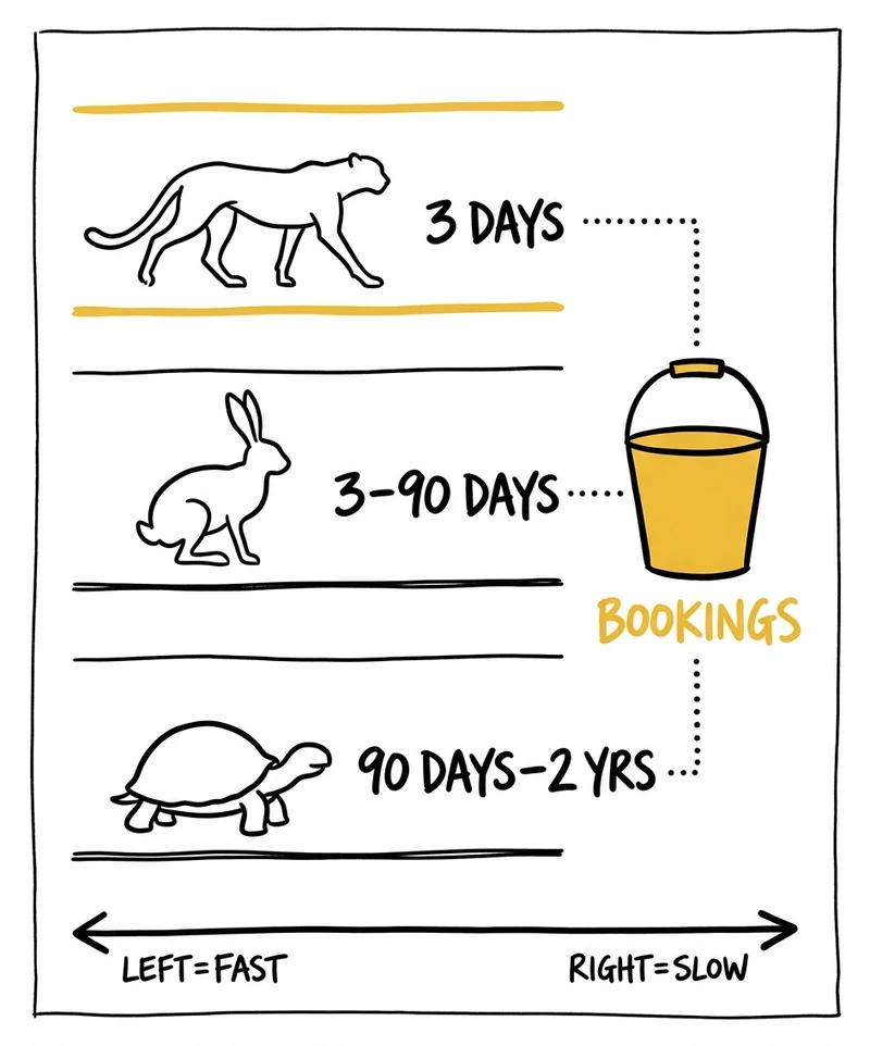 Three lead types for photographers — cheetahs book in 3 days, hares in 3-90 days, tortoises up to 2 years