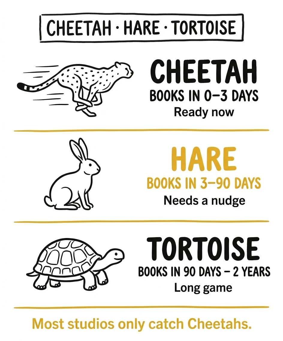 Cheetah Hare Tortoise framework for photography lead follow-up